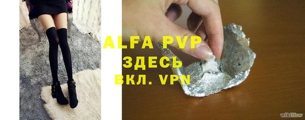 хмурый Белокуриха