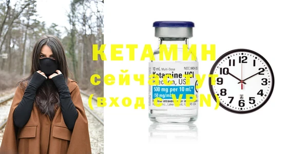 хмурый Белокуриха