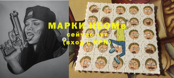 хмурый Белокуриха