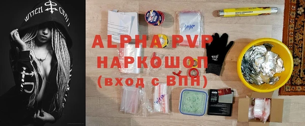 хмурый Белокуриха