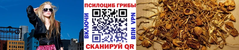 Купить  Кораблино  Псилоцибиновые грибы ЛСД 